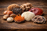 Champignons adaptogènes : le guide complet (2026) - vitalfusion